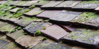 Brede roof repair costs